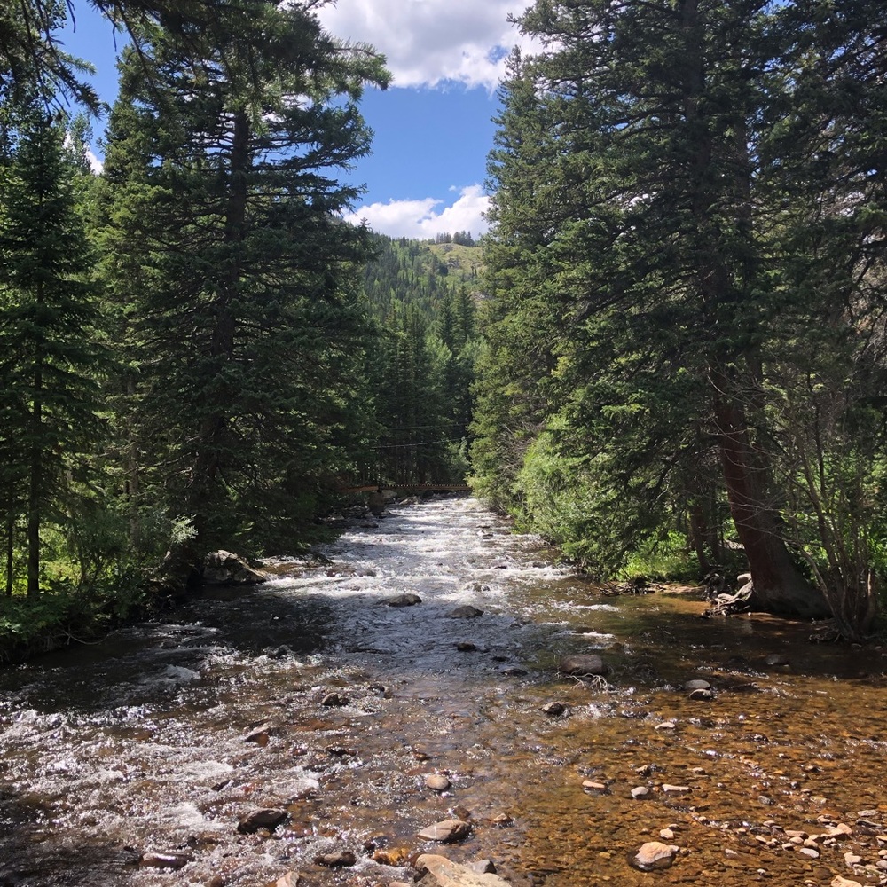 Meet your Posher, Carine